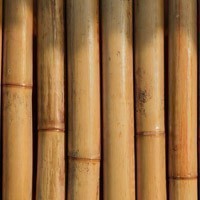 Bamboo Rush 2020. Oggetti di design per promuovere l'utilizzo del bambù a livello internazionale