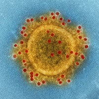 Coronavirus Design Competition. Spazi sicuri e connessi per rispondere alla crisi sanitaria