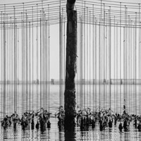 Premio fotografico nazionale mitilicoltori della Spezia 2020