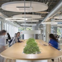 Spazi luminosi e design biofilico per la sede di Zambon firmata De Lucchi con interni di Carlo Ratti