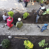 Liberare il suolo, le linee guida per la rigenerazione urbana nature-based