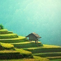 Vietnam Ricefield Lodge - una struttura ricettiva sulle terrazze coltivate a riso del sud-est asiatico