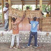 «Ekokay. Una ricostruzione sostenibile» progetti e immagini di architettura sociale per Haiti