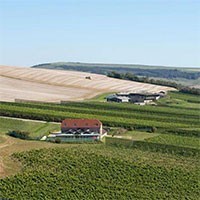 Un centro culturale del vino nella contea di Huailai, antica regione vinicola della Cina