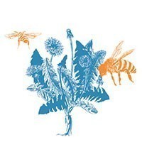 «Piantala!» 10 lezioni di garden design