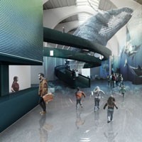 Allestimento ad alto impatto emozionale: le ex Galeazze a Portoferraio rinascono con il centro grandi cetacei