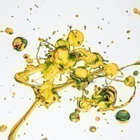 Tutti i software del Pacchetto Adobe: le migliori app per la post-produzione