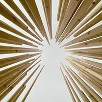 «Sii albero» la mostra di Stefano Boeri nel cuore della Sardegna