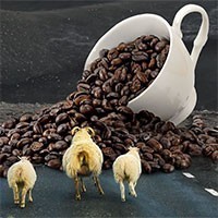 Iceland Volcano Coffe Shop. Una caffetteria ai piedi del vulcano Hverfjall