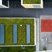 Le coperture a verde pensile