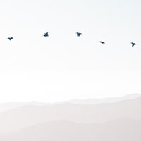 Tarquinia, due concorsi per l'ideazione di monumenti commemorativi