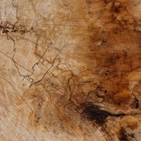 A seat at the table, un tavolo in legno di quercia rossa, acero o ciliegio