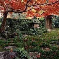 Giardini giapponesi, Kyoto e le quattro stagioni