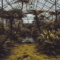 Progettare il verde. Terrazzi, giardini e corti
