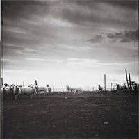 The Photo Solstice 2022 - workshop di fotografia gratuiti nel cuore della Sardegna