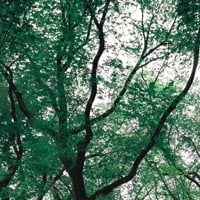 Ministero della Transizione ecologica: al via la selezione di 92 esperti per attuare la "rivoluzione verde" del Pnrr
