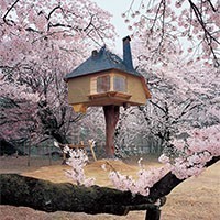 L'architettura giapponese reinterpreta la camera da tè: i progetti di Fujimori Terunobu, Kengo Kuma, Tadao Ando e Arata Isozaki
