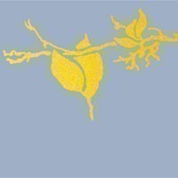 Premio "Antonio Quistelli - Flora Borrelli" 2022