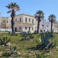 Un Giardino della Memoria a Nardò dove celebrare le virtù dell'accoglienza