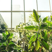 Pillole di Luce 2023, podcast e webinar sulla progettazione illuminotecnica