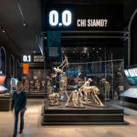 Milano, Museo di Storia naturale: Migliore+Servetto firma la sala dedicata all'evoluzione umana