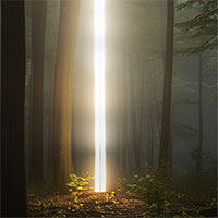 Un palco scultoreo in legno per il Sansusi Music Festival, in Lettonia