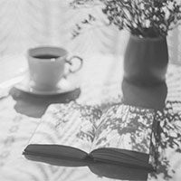 Giochi di luci e ombre in una casa senza illuminazione artificiale | The Home of Shadows #2