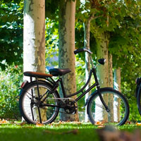 Ciclovisita 23 "Imola 900" tra storia e architettura