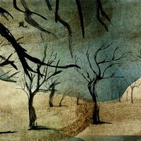Workshop di disegno nel bosco con Isabel Herguera