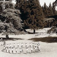 Il parco delle Cascine e la sua metamorfosi nel tempo