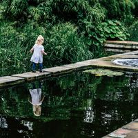 Giardini difficili tra natura e artificio. Capire e gestire la complessità