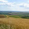 Presidio distrettuale Siena sud