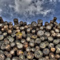 InLegno. Park Associati e Bollinger + Grohmann sul tema "Cambiare prospettiva per costruire il futuro"