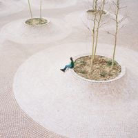 Ferrara, inaugurata piazza Cortevecchia, l'oasi urbana di INOUT selezionata dai cittadini