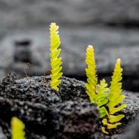 La lana di roccia nelle scuole, tra isolamento termico, acustico e sicurezza in caso d'incendio