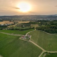 Premio Cramum, un'installazione sul valore dell'attesa per la Cantina Terre Margaritelli, in Umbria