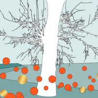 OrangeArancio 4.0: un'installazione paesaggistica temporanea da realizzare sulle rive del lago Maggiore