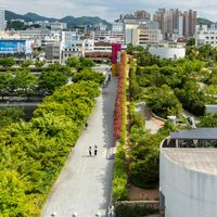 La sostenibile leggerezza del verde: la città spugna, progetti e strategie