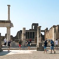 Gestire e valorizzare un sito culturale: 20 lezioni applicate al Parco Archeologico di Pompei
