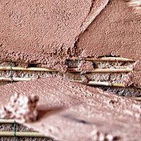 Terra cruda, carpenteria lignea e intonaci: 3 workshop by Banca del Fare