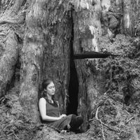 Festival degli Alberi, nuove visioni per riprogettare la città