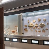 Siracusa, nuovo allestimento e percorsi accessibili per il museo Orsi