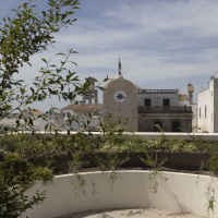 Cisternino (Br), il giardino verticale buca l'edificio per ospitare una giungla indoor