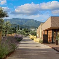 Dal giardino storico alla campagna contemporanea: due visite guidate nel paesaggio toscano