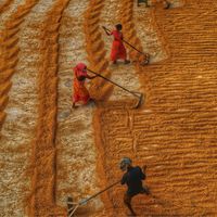 Paesaggi colturali: la Scuola Emilio Sereni rilegge il rapporto fra sistemi agrari e paesaggio