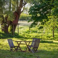 Tra siccità e bombe d'acqua: progettare giardini per il clima che cambia
