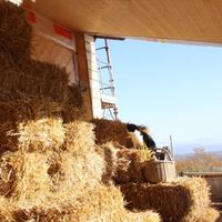 Costruire con paglia e terra cruda: workshop in cantiere nel verde dell'Umbria