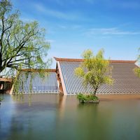 Dissesto idrogeologico e cambiamento climatico: responsabilità e strumenti per l'architetto