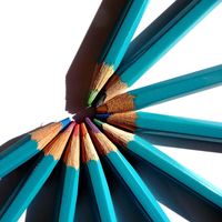 Nuovo stemma e gonfalone per raccontare l'identità del territorio di Novella, in Trentino