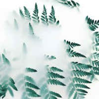 Conto termico 3.0 in "Gazzetta", ecco come funzionano gli incentivi 2025 per l'efficientamento energetico e le Fer